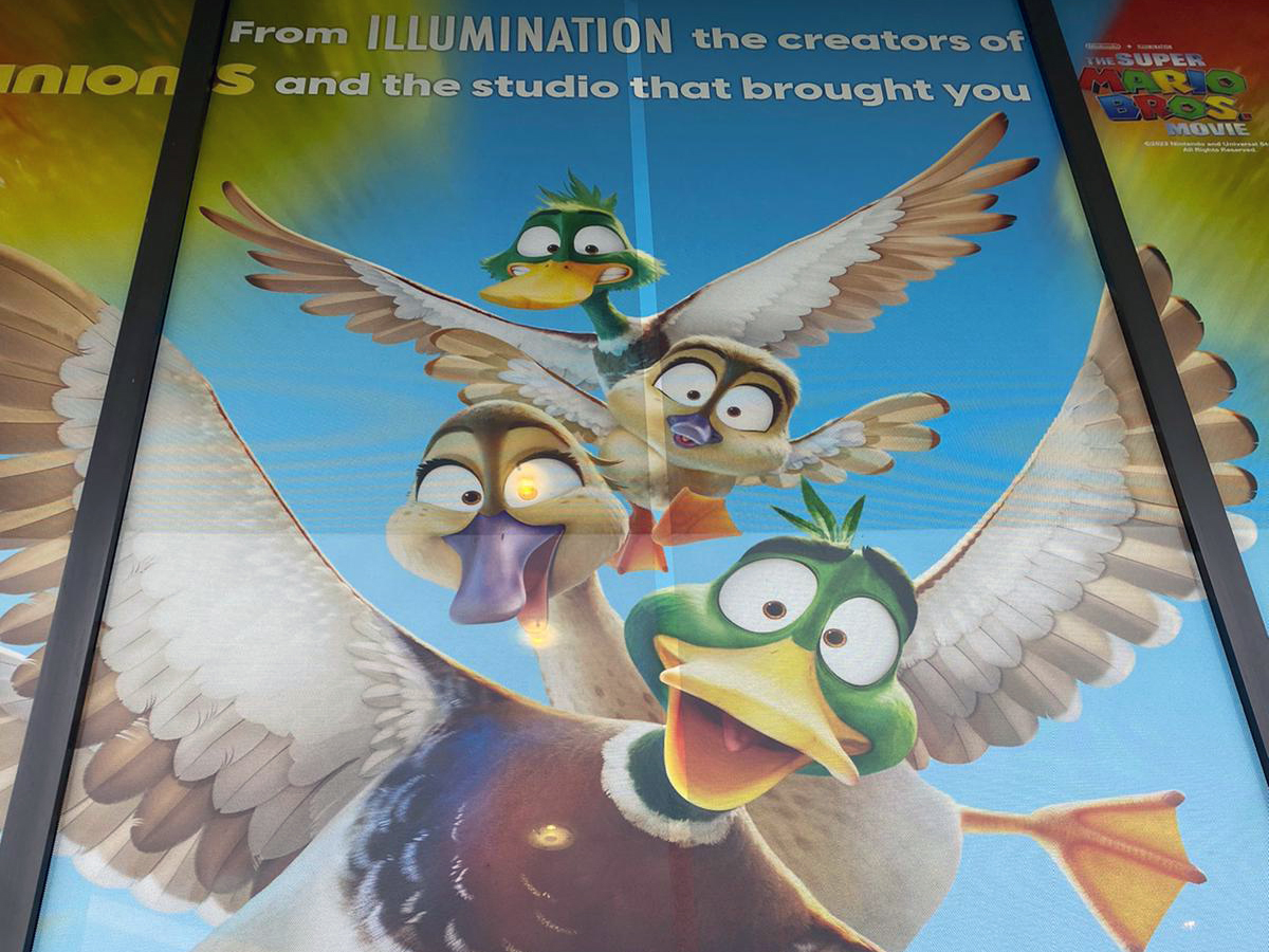 Featured Image - Printen op heldere geperforeerde raamfilms